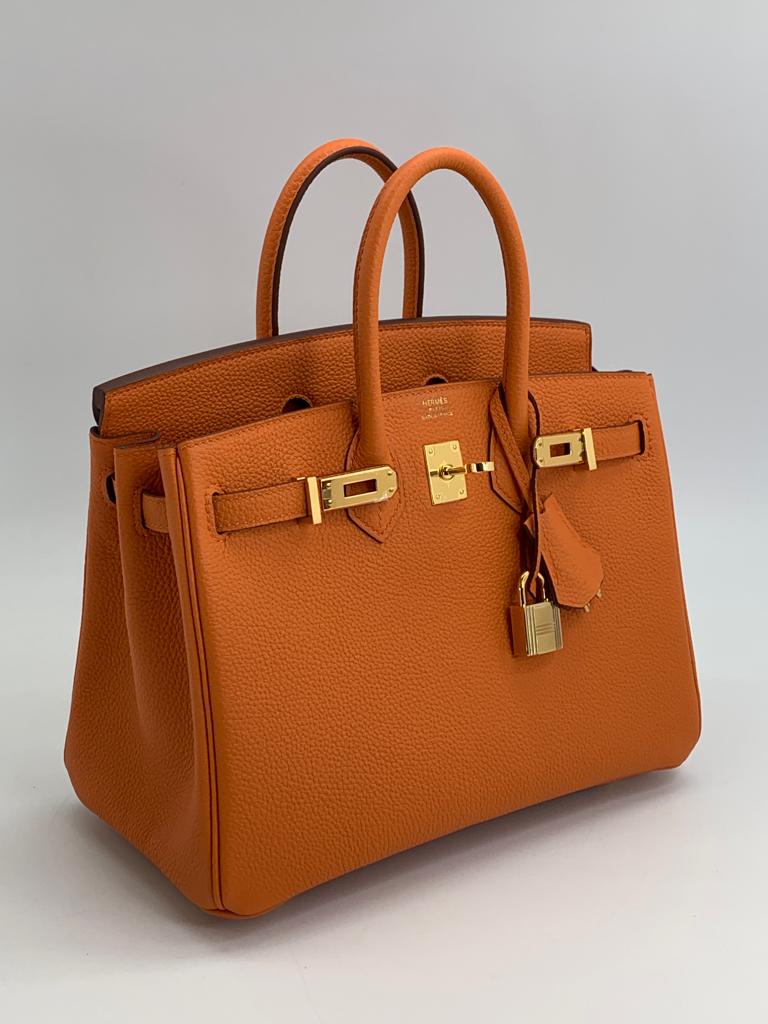 Hermes Birkin 25 Togo Orange handbag Gold hardware front picture