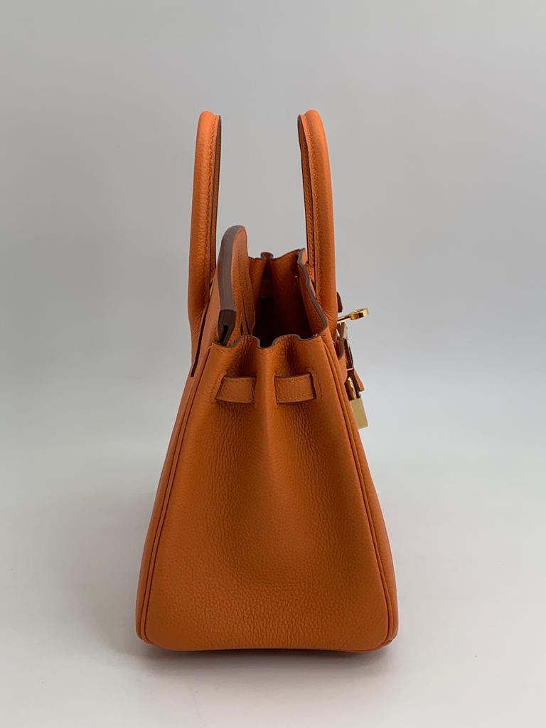 Hermes Birkin 25 Togo Orange handbag Gold hardware from the side
