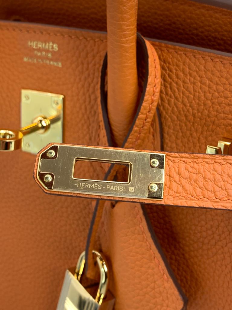 Hermes Birkin 25 Togo Orange handbag Gold hardware locks close up